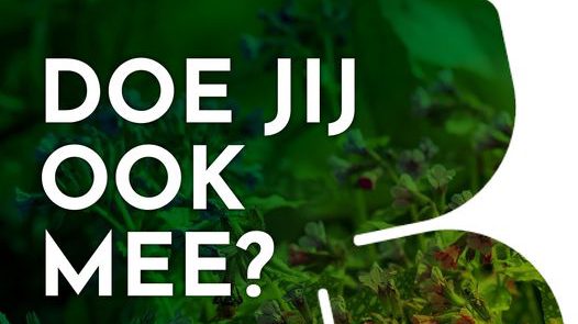 Week Van De Groene Tuin Tegel Eruit Groen Erin Omroep Hoeksche Waard