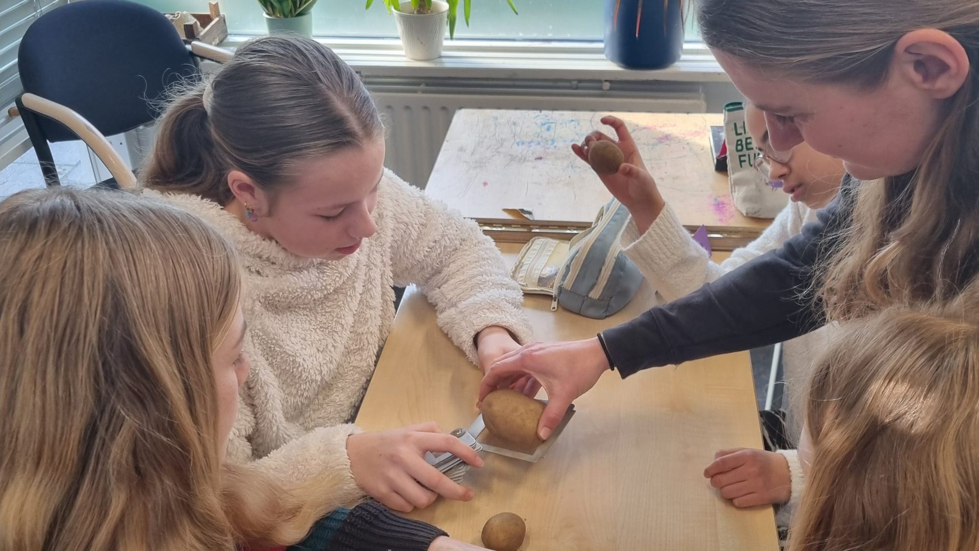 Boer In De Klas Schot In De Roos Omroep Hoeksche Waard