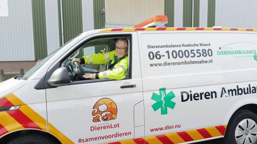 Dierenambulance Hoeksche Waard